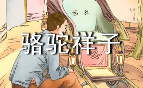 �����������ĵ����