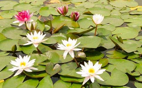 ��д˯�����������Ӷ̾�