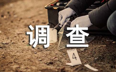 旅游调查报告范文