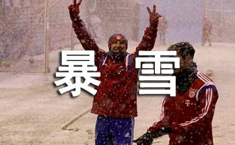 防暴雪应急演练方案
