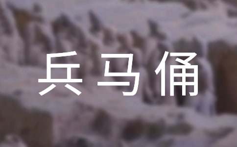 参观兵马俑心得体会
