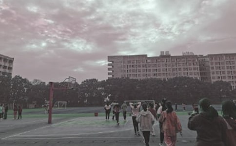 校园的操场写景作文