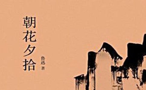 朝花夕拾读书心得体会10篇