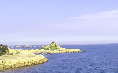 【推荐】大海写景作文3篇