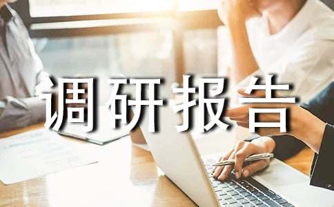 社会实践调研报告2篇(推荐)