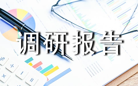社会实践调研报告优秀