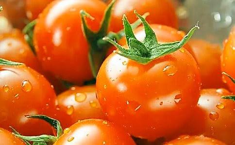 ��ժС����Сѧ����������300��
