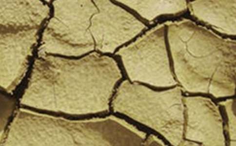 �ɺ���ˮ����