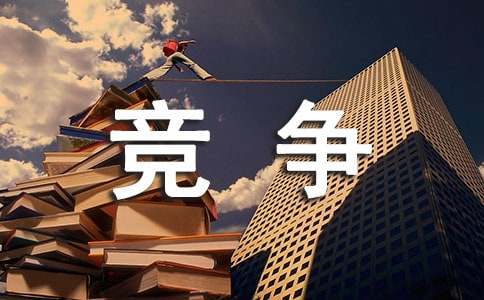 公平竞争审查自查报告