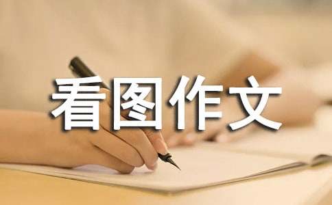 精选六年级看图作文合集10篇