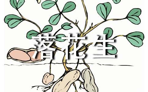 《落花生》教学方案