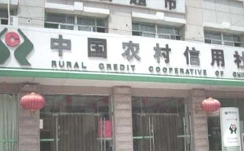 新形势下农村信用社内部审计质量评估的调查报告