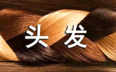头发的变化小学作文