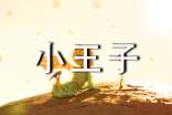 小王子个性格言语录(通用30句)