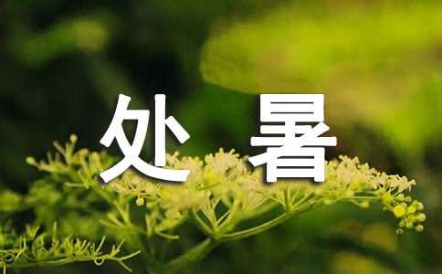 处暑节气的优美句子