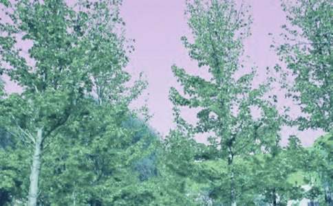 �����ж�ʵʩ����15ƪ