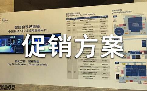 双11促销方案模板优秀