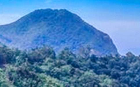 ������ɽ���������˵˵