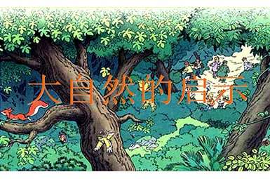 精选大自然的启示四年级作文锦集10篇