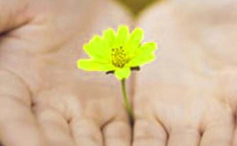 Ӣ�ĵ�Ǹ�Ÿ�ʽ����