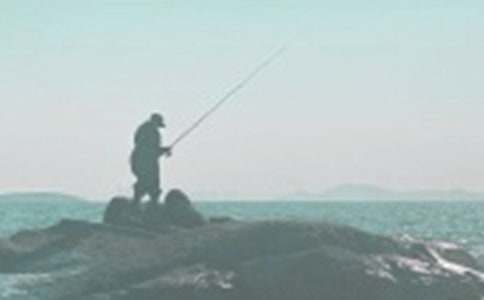 Сѧ���ģ�Сè����(����8ƪ)