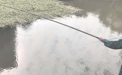 ��������Ȧ�İ�