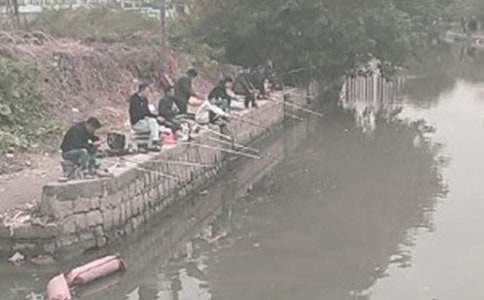 ����Сѧ����(15ƪ)