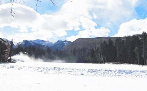 Ԥ��������Ⱦ���������ĵ����