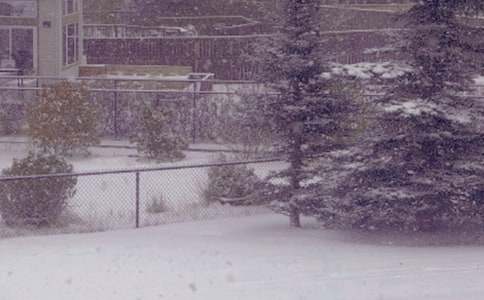 �йض���д�����Ļ��10ƪ