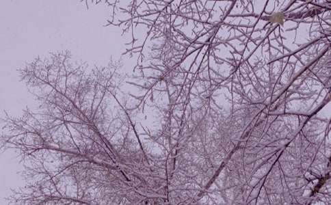 ���յ������ʺ���