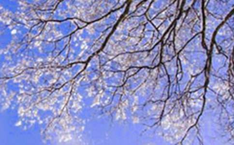 ����д�����ĺϼ���ƪ