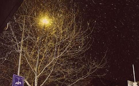 ���¶����������� �ĵ���ᶬ��ͨ��