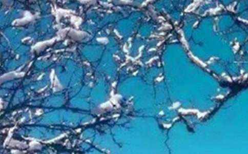 ʵ�õ�д�����������