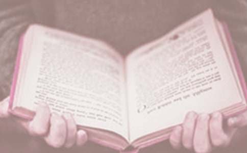 ��������������ݽ���