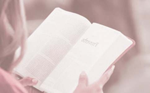 ����������������ָ�