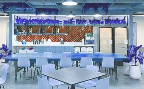 ��ѧ���������ʵ�����棺�������Ա