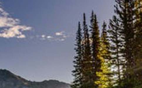 ͨ�������羰���Ӽ���85��