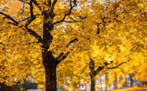 2021��羰�������Ӽ���49��