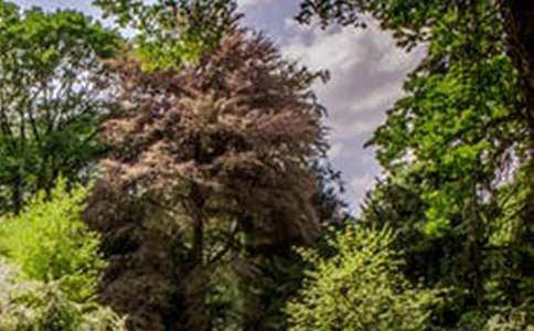 �羰����˵˵