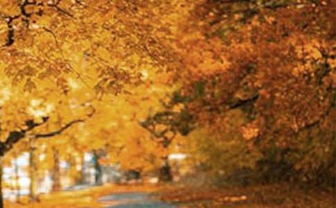 2022�꾫ѡ�����羰���ӻ���68��