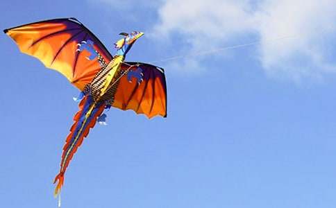 �׶�԰���ӷŷ��ݻ����