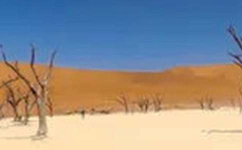 �ɺ���ˮ��������ѡ7ƪ��