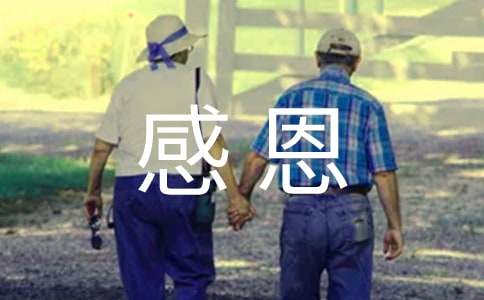 �ж�ĸ����������