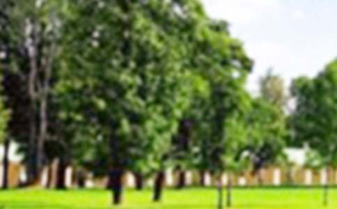 陇南公园照明合同范本优选