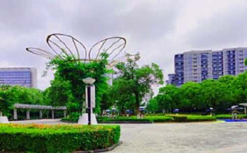 �ι�԰Сѧ���Ļ��10ƪ