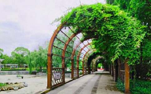 ��԰д������