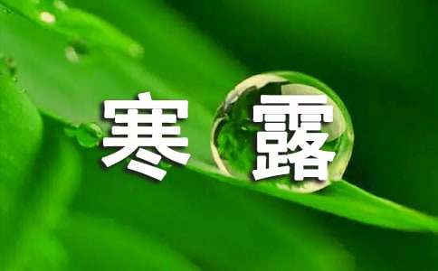 寒露发朋友圈的句子(精华)