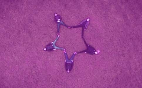 给好友的早上好问候语