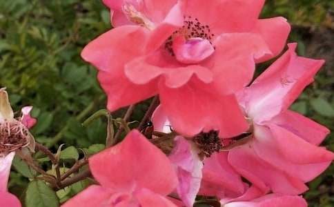 �򵥵Ļ����������ӽ���84��