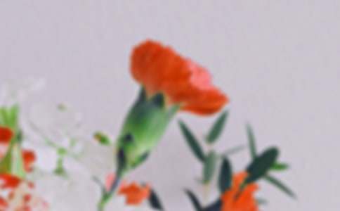 �������еĻ����������